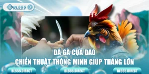Đá Gà Cựa Dao - Chiến Thuật Thông Minh Giúp Thắng Lớn
