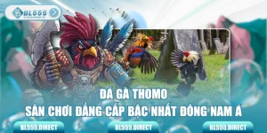 Đá gà Thomo - Sân Chơi Đẳng Cấp Bậc Nhất Đông Nam Á
