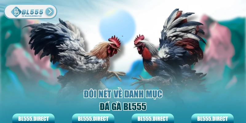 Đôi nét về danh mục đá gà BL555