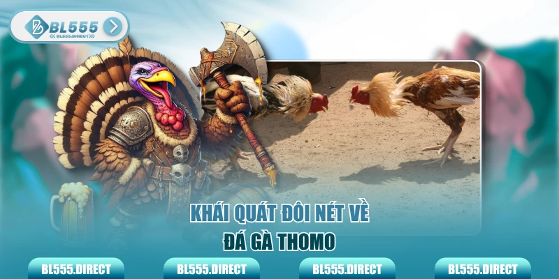 Khái quát đôi nét về đá gà Thomo