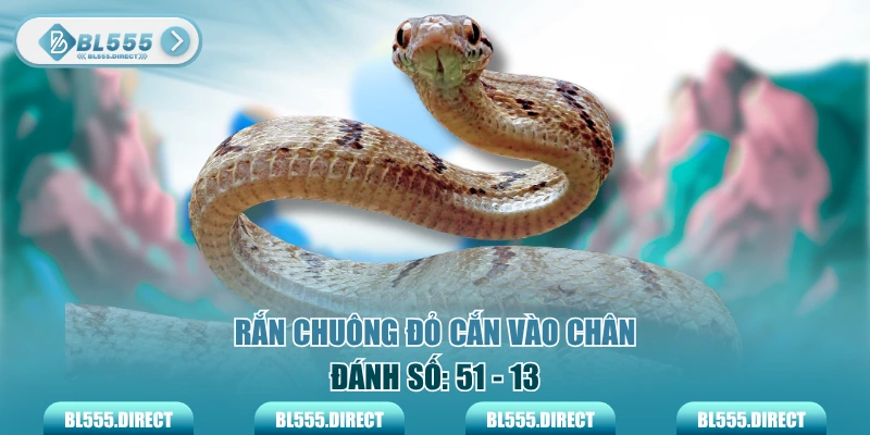 Danh sách các cặp số tài lộc cho từng trường hợp mơ rắn