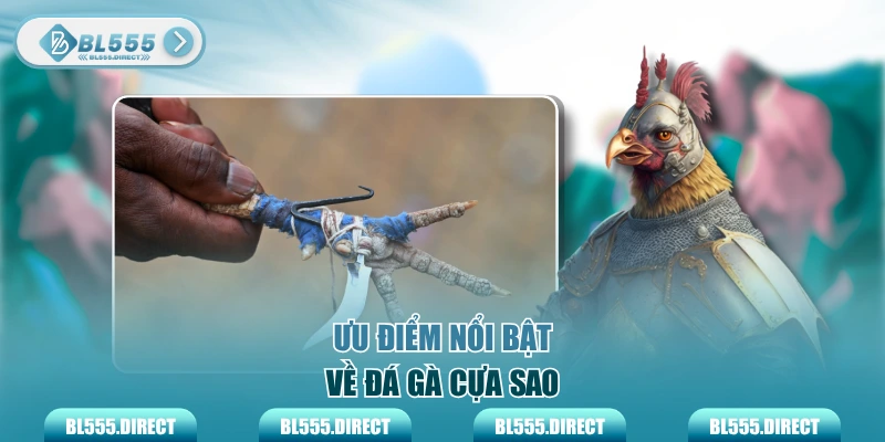 Ưu điểm nổi bật về đá gà cựa dao